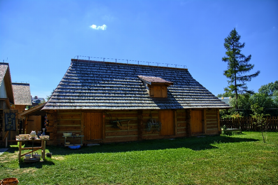 草 建筑学 房子 屋顶