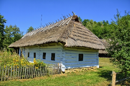 Grass architecture villa house Photo