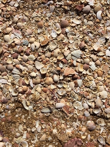 Beach nature sand rock Photo