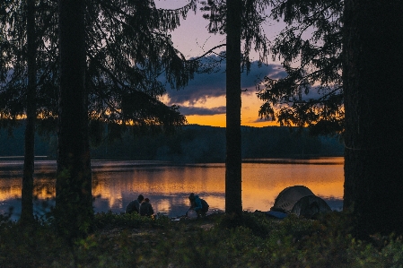 Landscape tree water nature Photo