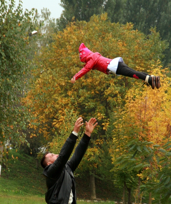 Arbre jouer sauter aimer