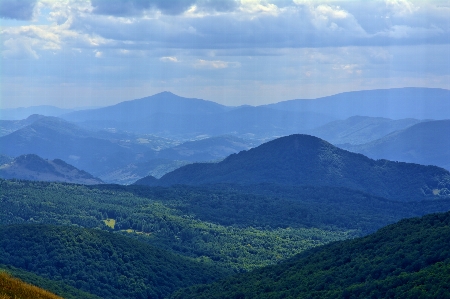 Landscape nature forest grass Photo