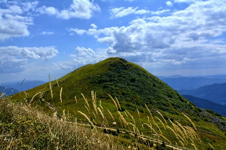 Landscape sea nature grass Photo