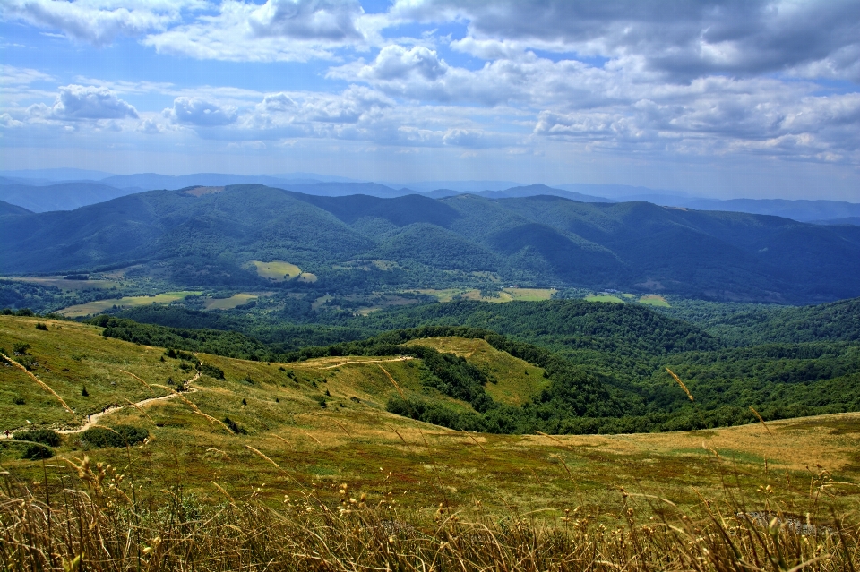 風景 自然 草 荒野
