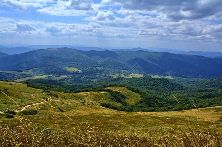 Landscape nature grass wilderness Photo