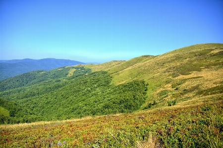 Landscape nature grass wilderness Photo