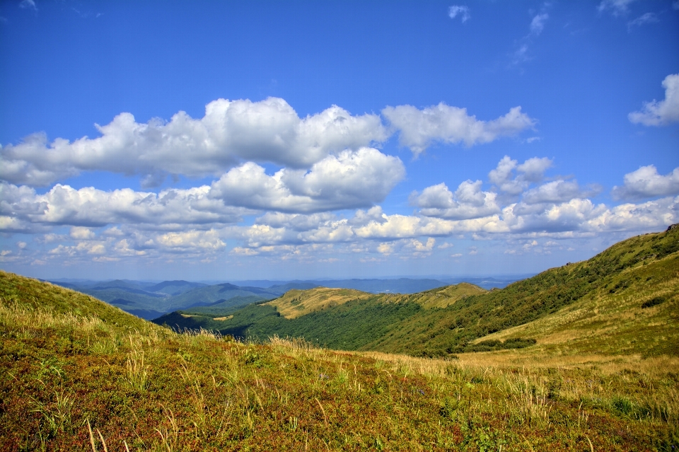 Landscape nature grass horizon