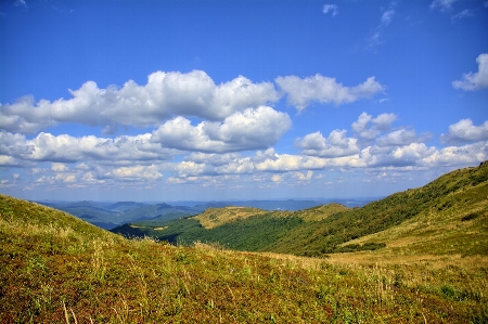 Landscape nature grass horizon Photo