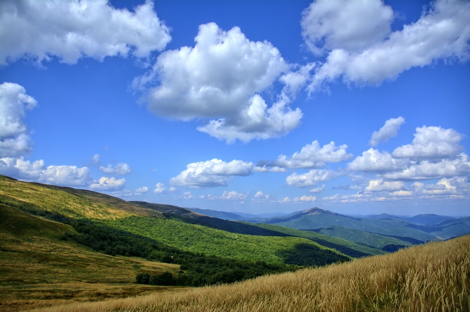 Paysage nature herbe horizon