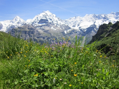 Landscape nature wilderness mountain Photo