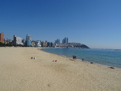 Beach landscape sea coast Photo