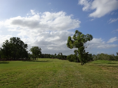 Landscape tree grass horizon Photo