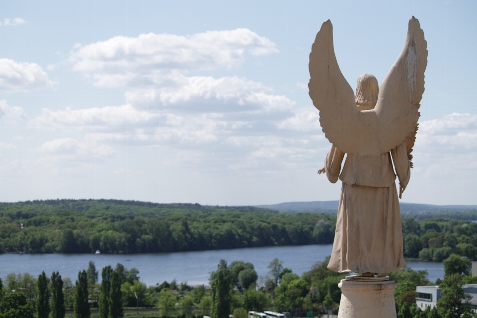 Tree wing sky monument