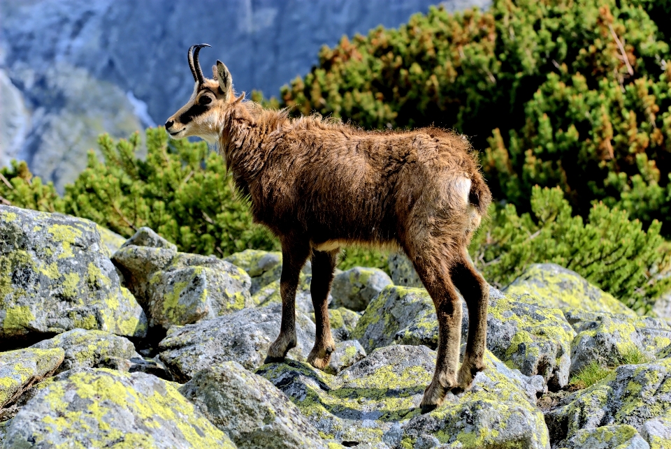 Krajobraz natura góra niebo