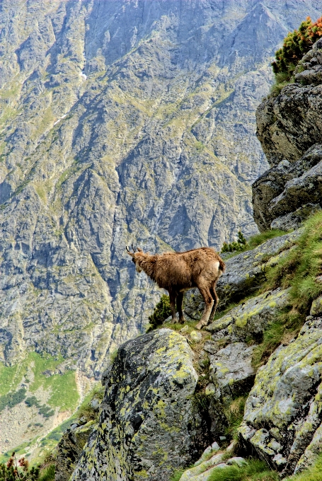 Paysage nature région sauvage
 montagne