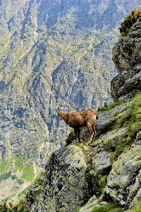 Landscape nature wilderness mountain Photo