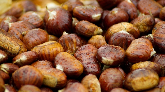 Plant fall dish food Photo