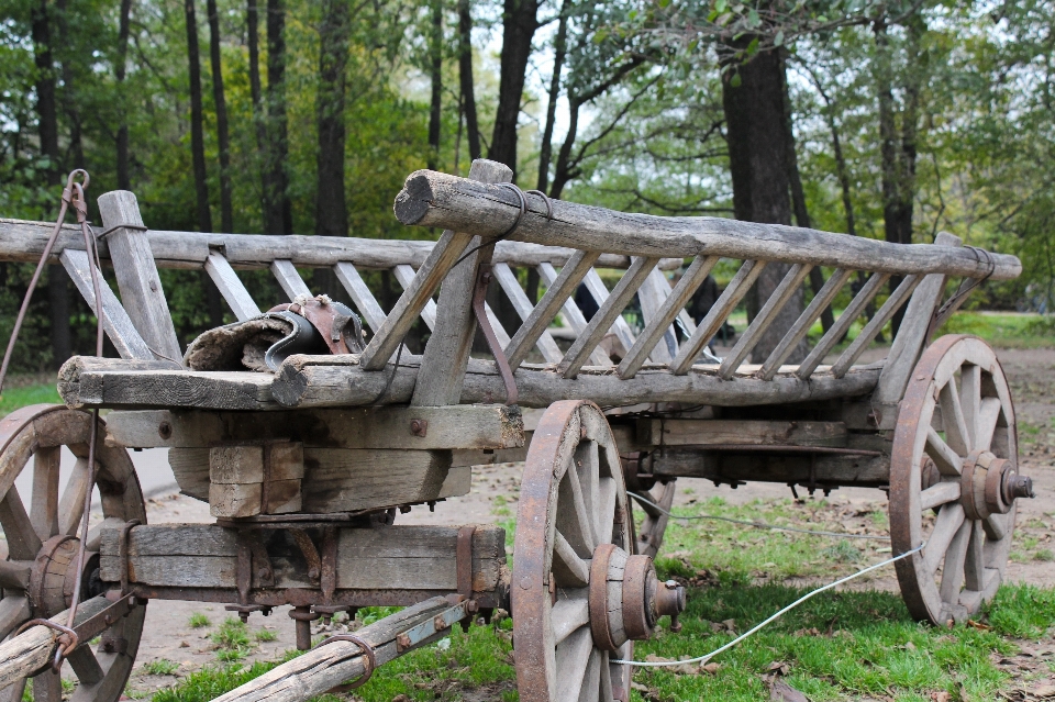 Forest wood wagon cart