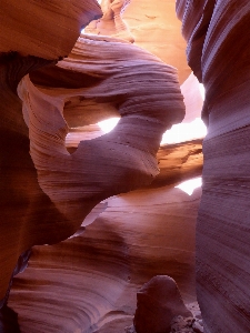 Rock light wood sunlight Photo