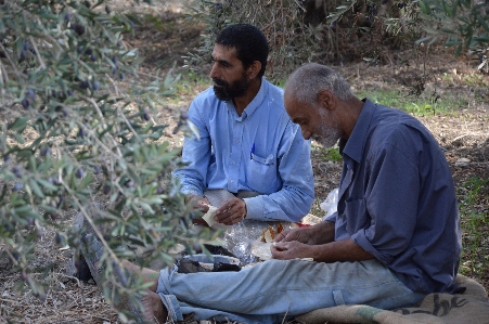 People harvest help break Photo