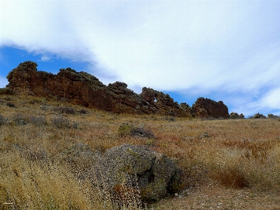 Landscape coast tree nature Photo