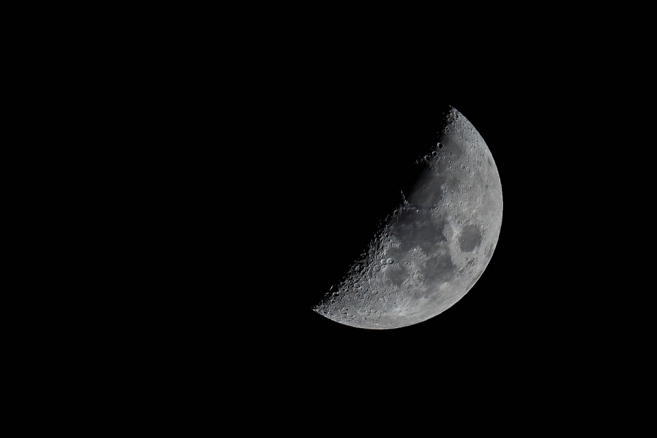 Aile noir et blanc
 ciel nuit