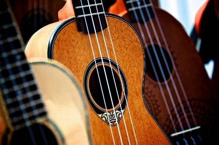 Music guitar string acoustic Photo