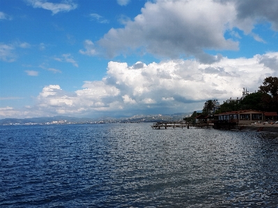 Landscape sea coast tree Photo