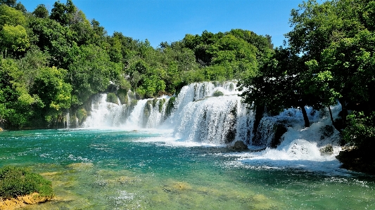 Manzara su doğa orman Fotoğraf