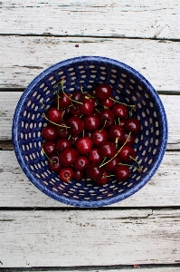 Plant white fruit berry Photo