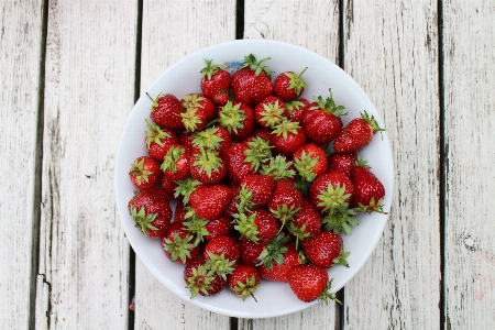 Table plant white raspberry Photo