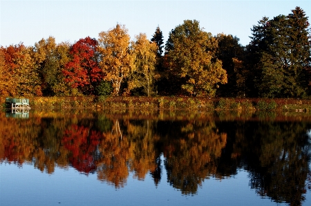 Landscape tree water nature Photo