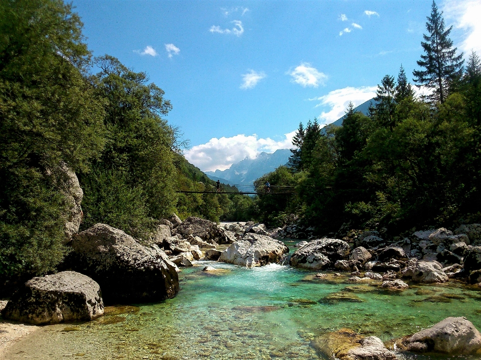 Landschaft wasser natur wald