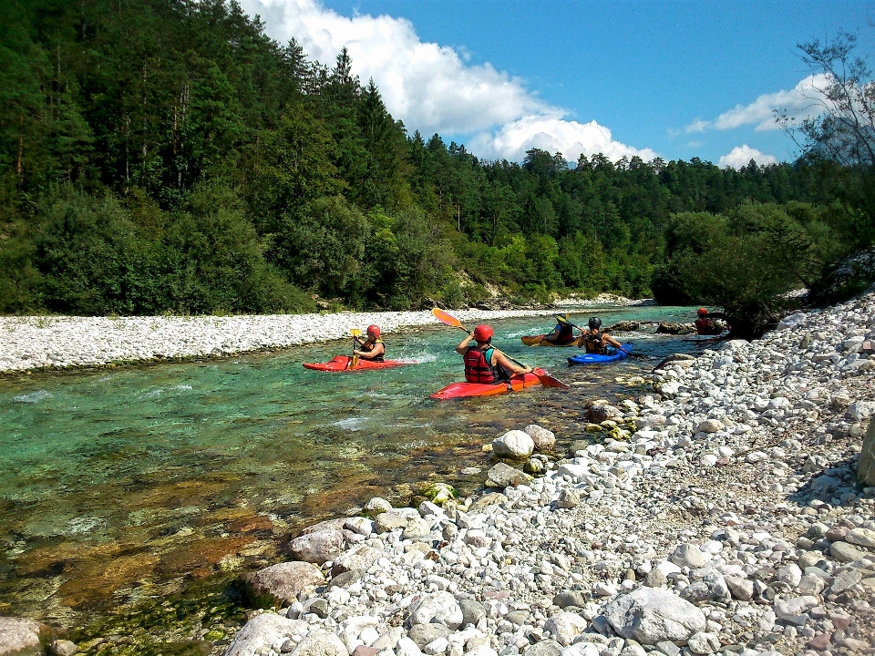 Forest sport boat river