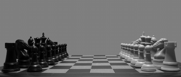 Foto En blanco y negro
 juego recreación monocromo