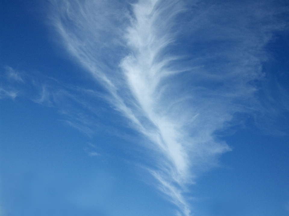 Wing cloud sky sunlight