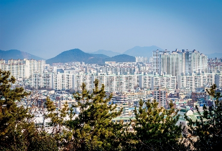 Horizon architecture structure skyline Photo