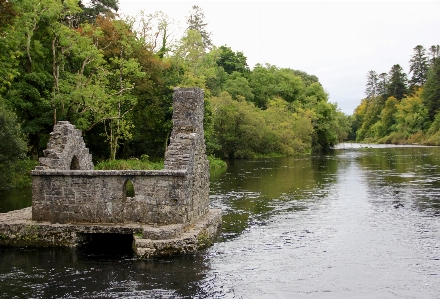 Water forest river canal Photo