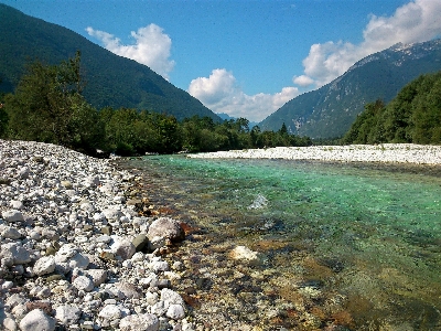 海滩 景观 海 水 照片