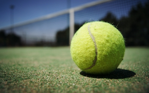 Grass structure sport lawn Photo