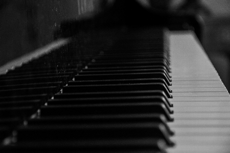 Music black and white keyboard technology Photo