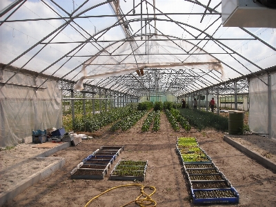 Foto Florescer túnel ferramenta agricultura