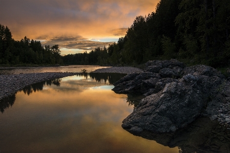 Landscape tree water nature Photo