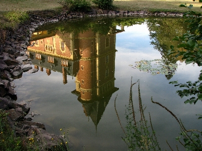 Tree water nature sky Photo