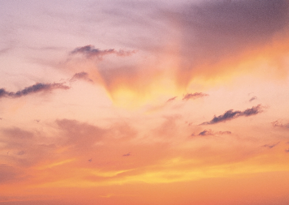 Sea horizon cloud sky