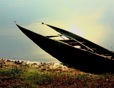 Beach sea coast water Photo