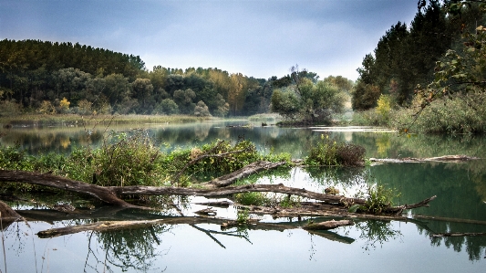 Landscape tree water nature Photo