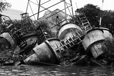 黒と白
 年 鋼 環境 写真