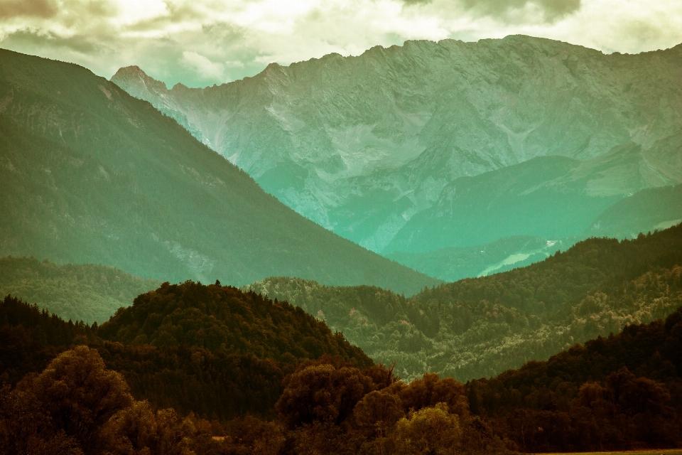 Landscape nature forest mountain