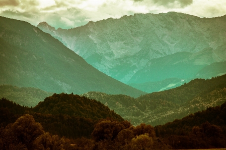 Foto Lanskap alam hutan gunung